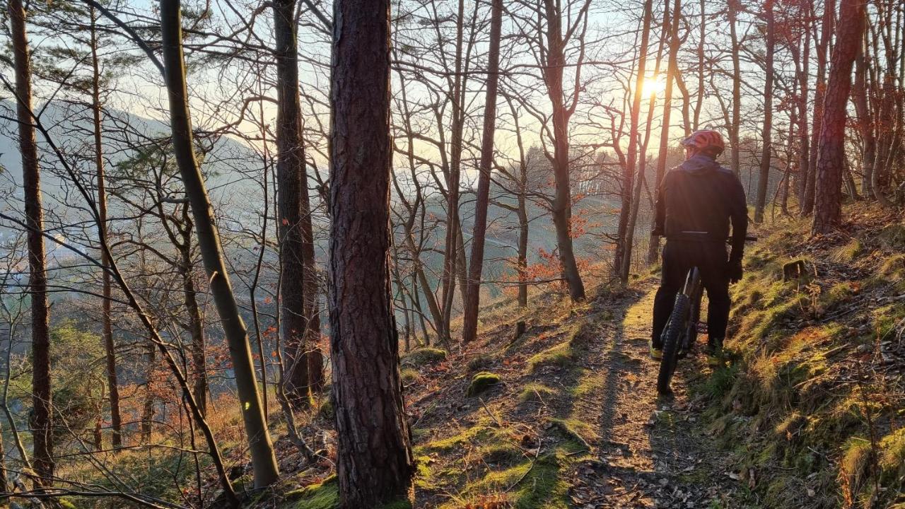 Exklusives Holzhaus Mit Bergbahn - Baden-Baden Im Schwarzwald Vila Exterior foto